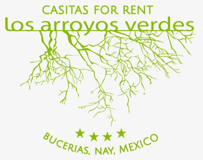 Los Arroyos Verdes - Arroyos Verdes, HD Png Download, Free Download