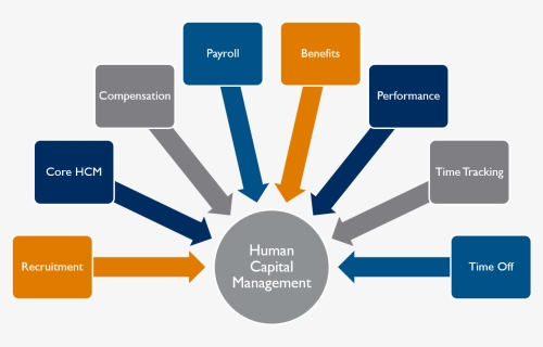 Info Graphic Image Shows Applications Of Workday Hcm - Engagement Models In Business, HD Png Download, Free Download