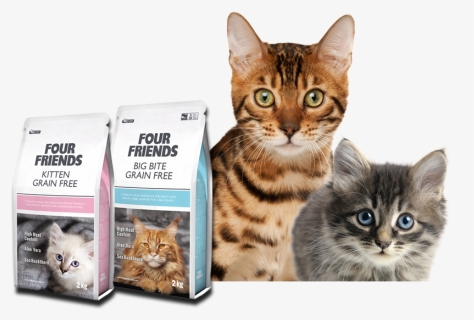 Premium Quality Cat Food - Cat Food Banner Png, Transparent Png, Free Download