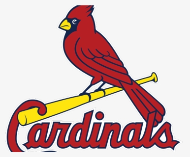 St Louis Cardinals Logo Png, Transparent Png, Free Download