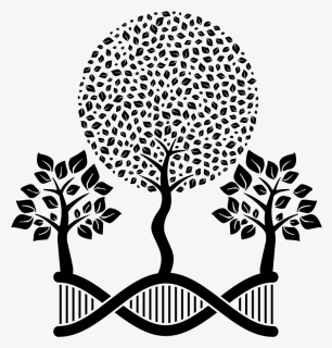 Dna Helix Arboreal - Cute Icons In Black And White, HD Png Download, Free Download