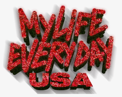My Life Every Day Usa - Graphics, HD Png Download, Free Download