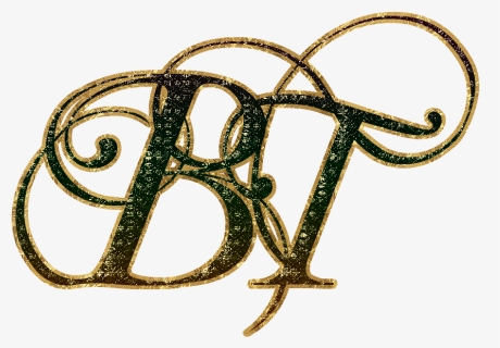 Bt Letter Logo - Bronze, HD Png Download, Free Download