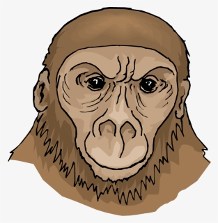 Free Ape - First Apes Ape Clipart, HD Png Download, Free Download