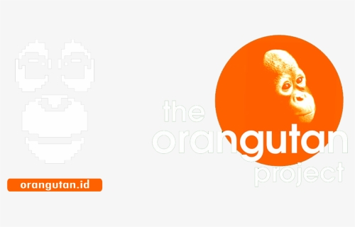 Cop Centre For Orangutan Protection - Monkey, HD Png Download, Free Download