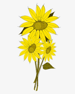 Sunflower Flowers Clip Art , Png Download - Sunflower Clip Art, Transparent Png, Free Download