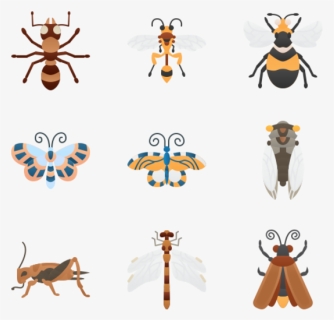 Honeybee, HD Png Download, Free Download