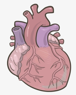 Free Heart Clipart, Heart Background Images, Heart - Illustration, HD Png Download, Free Download