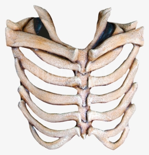 Mask Rib Cage Human Skeleton Skull - Transparent Rib Cage Png, Png Download, Free Download