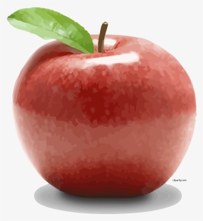 Realistic Apple Clipart, HD Png Download, Free Download