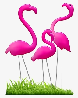 Gambar Kartun Burung Flamingo, HD Png Download, Free Download