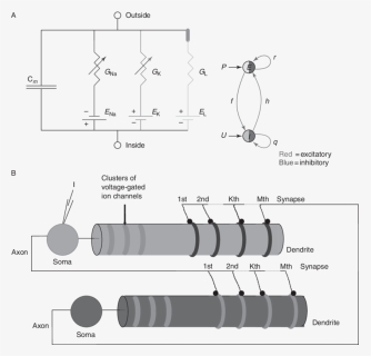 Diagram, HD Png Download, Free Download