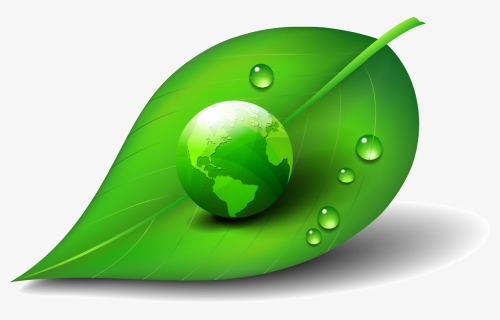 Green World On Leaf - Dew Drop In Leaf Png, Transparent Png, Free Download