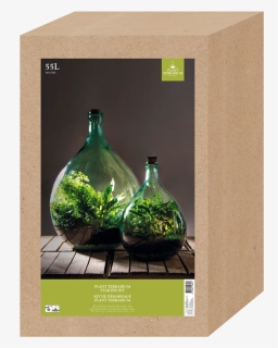 Terrarium Bottle 55 Litre Set - 5l Plant Terrarium, HD Png Download, Free Download