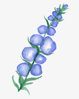 Bluebonnet Vector Transparent - Bluebonnet, HD Png Download, Free Download