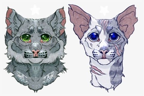 Whiskers Kitten Drawing Snout - Drawing, HD Png Download, Free Download