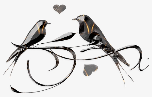 Draw Love Birds In Nest, HD Png Download, Free Download