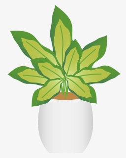 Dieffenbachia Dumb Cane Clipart - Illustration, HD Png Download, Free Download