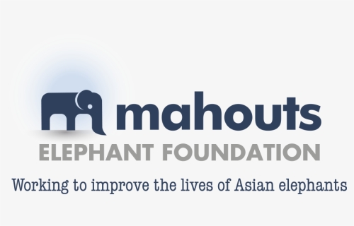 Mahouts Foundation Logo Strap - Head First, HD Png Download, Free Download