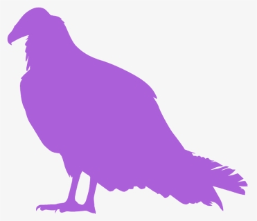 Turkey Vulture, HD Png Download, Free Download