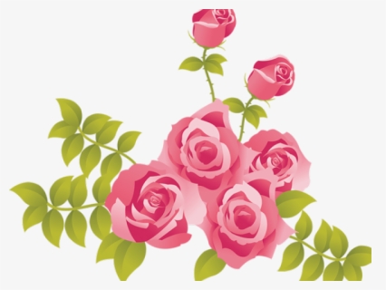 Transparent Pink Floral Clipart - Pink Roses Clipart Png, Png Download, Free Download