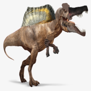 Spinosaurus Png Pic - Spinosaurus Png, Transparent Png, Free Download