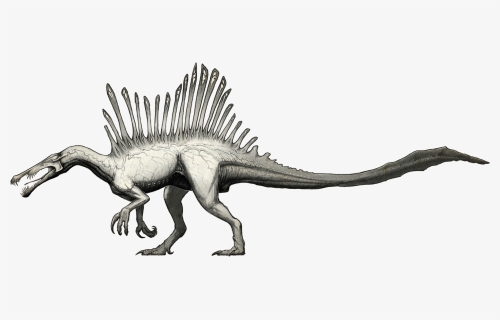 Spinosaurus , Png Download, Transparent Png, Free Download