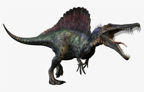 T Rex Spinosaurus Dinosaurs , Png Download - Dinosaurs Spinosaurus, Transparent Png, Free Download