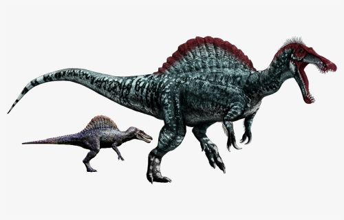 Spinosaurus Png Transparent Picture Jurassic Park Dinosaurs Png