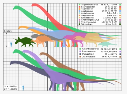 Shantungosaurus Size, HD Png Download, Free Download