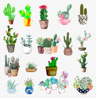 #watercolor #cactus #succulent - Flowerpot, HD Png Download, Free Download