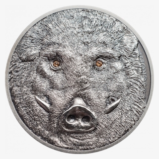 Wild Boar Sus Scrofa, Cit Coin Invest Trust Ag / B - 蒙古 野豬 銀幣, HD Png Download, Free Download