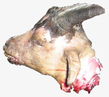 Boar , Png Download - Boar, Transparent Png, Free Download