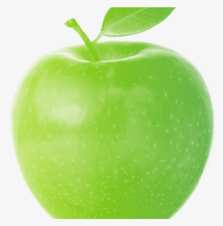 Marketing A Tree Care Surgery Business - Granny Smith, HD Png Download, Free Download