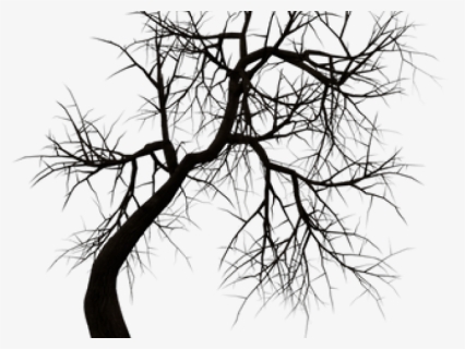 Dead Tree Silhouette - Tree Horror Png, Transparent Png, Free Download