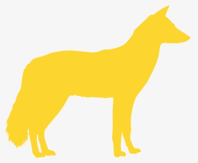 Companion Dog, HD Png Download, Free Download