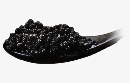 Frijoles Negros, HD Png Download, Free Download