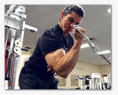 Flexing Arm Png, Transparent Png, Free Download