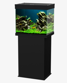 Aquarium Lighting, HD Png Download - kindpng