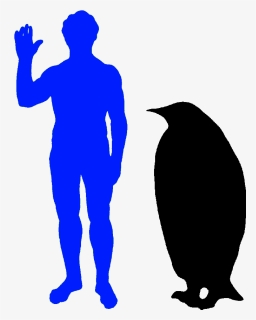 The Emperor Penguin Is The World"s Biggest Penguin - Dodo Bird Compared To Human, HD Png Download, Free Download