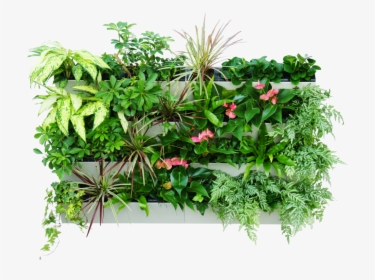 Wall Garden Vertical Garden Png, Transparent Png, Free Download