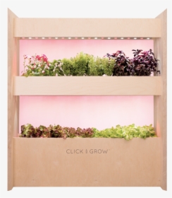 Click And Grow Wall Farm, HD Png Download, Free Download