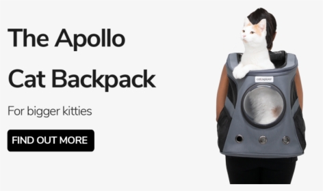 Apollo Cat Backpack Carrier - Cat, HD Png Download, Free Download