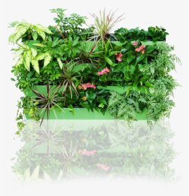 Vertical Garden Png, Transparent Png, Free Download