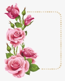 Vertical Vector Garden - Pink Rose Frames, HD Png Download, Free Download