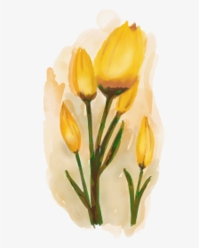 Tulipanes, Acuarela De Flores, Flor Amarilla, Bouquet - Flores Aquarela Amarela Png, Transparent Png, Free Download