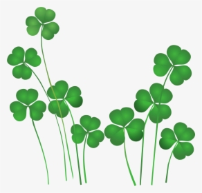 St Patrick's Day Salon Promotions, HD Png Download, Free Download
