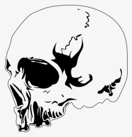 Skull, Design, Tattoo, Skeleton, Death, Dead, Head - Desain Kepala Tengkorak, HD Png Download, Free Download