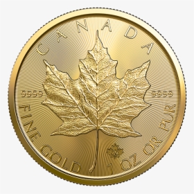" 										 Title="" 										 Style="max Height - Maple Leaf Gold 2019, HD Png Download, Free Download