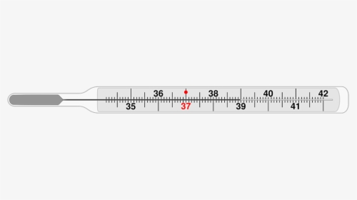 Thermometer, Medical, Clinical Thermometer, Temperature - Clinical Thermometer Images Black And White, HD Png Download, Free Download